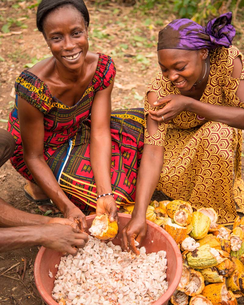 women extracting cocoa powder from organic fruit